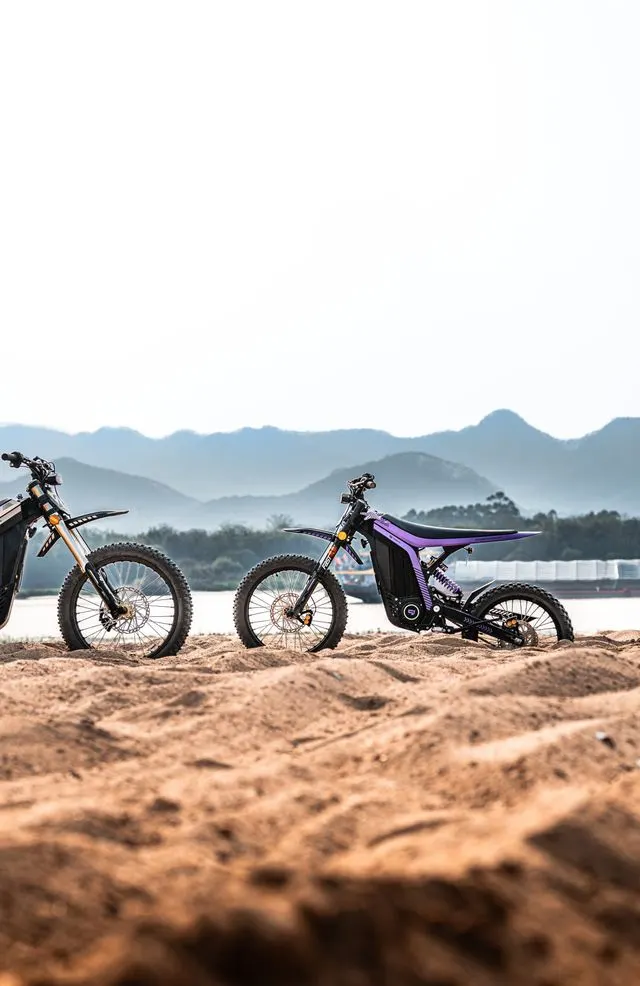 Argan Valley E-bike
