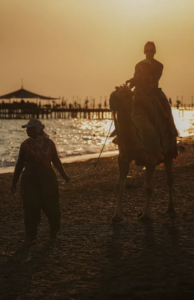 Camel Ride on the Beach