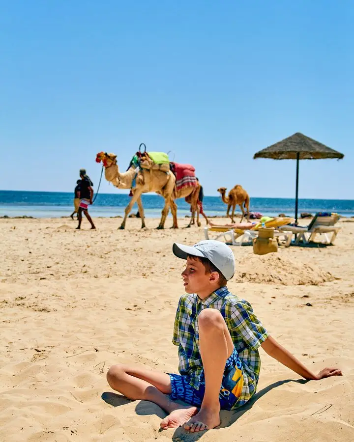 A child relaxes on a sandy beach with camels in the background on a sunny day.