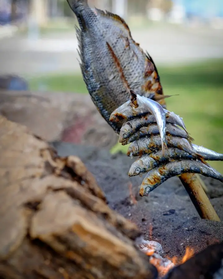 Grilled fish over open fire in Málaga, capturing the essence of traditional Spanish espeto cooking.