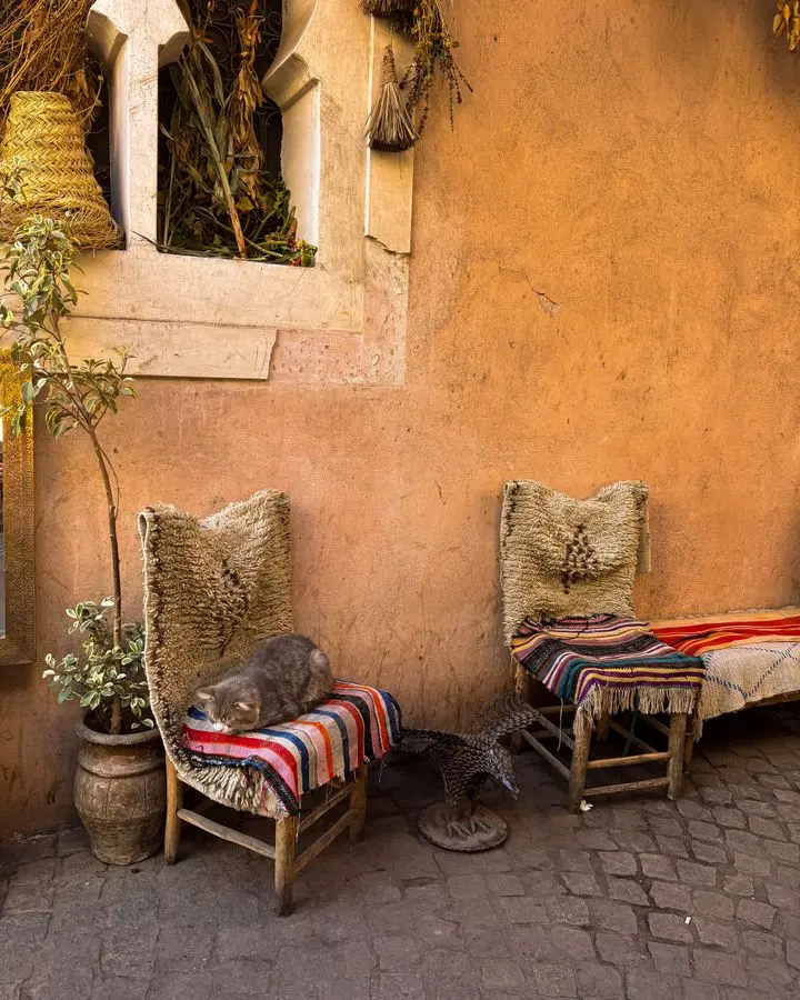 Charming Marrakech alleyway with a cat resting on colorful Moroccan woven chairs.