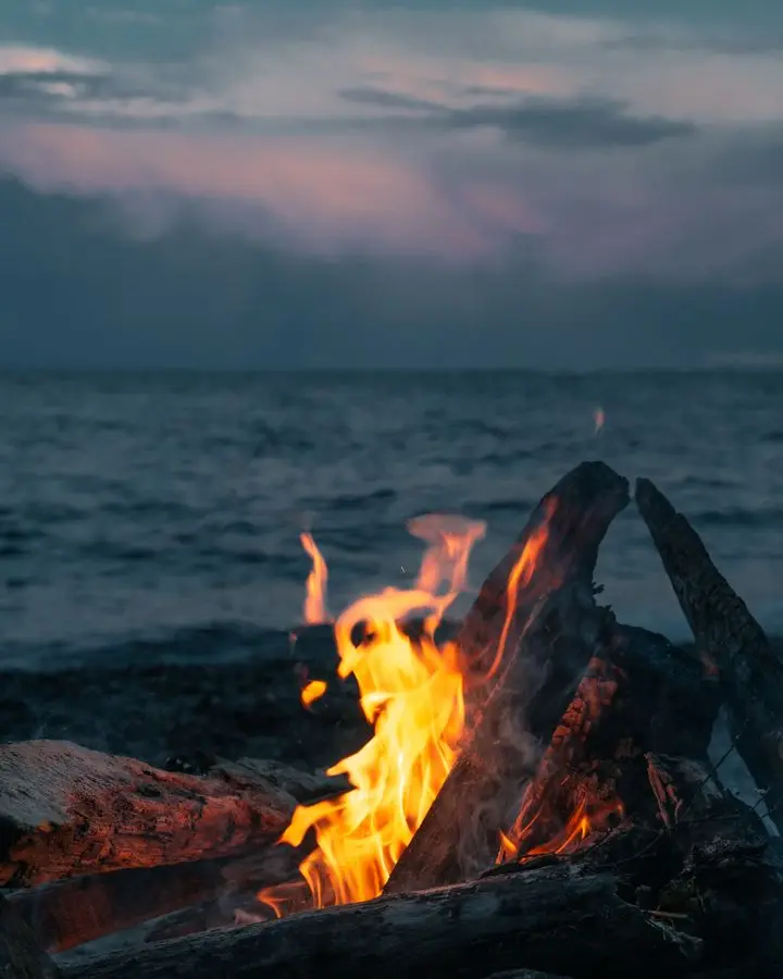 A serene campfire burns on a beach with ocean waves at twilight, creating a peaceful ambiance.