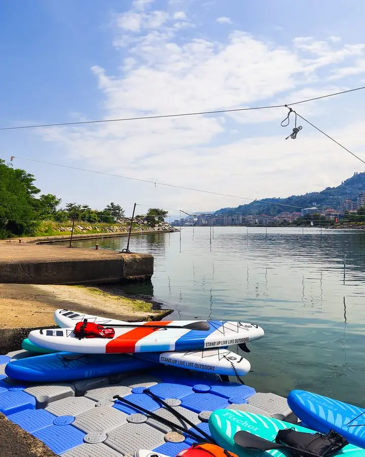 Bright paddleboards on a serene lakeside in Rize, Türkiye, under a clear sky.