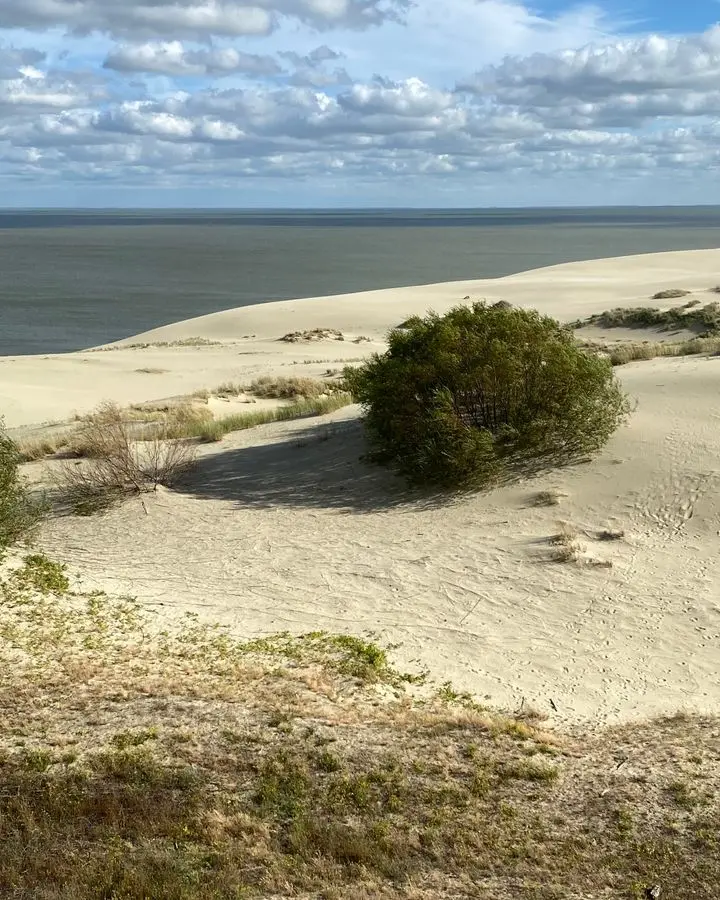 Serene view of sandy dunes and ocean with a cloudy sky, ideal for nature themes.